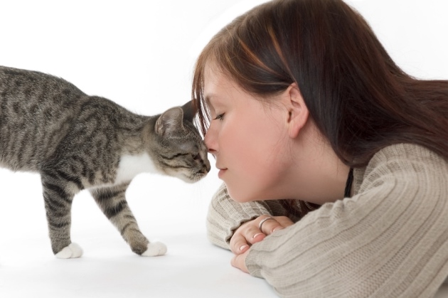 【猫好きな人注意】寄生生物が宿主の行動や性格をゆがめていることが判明