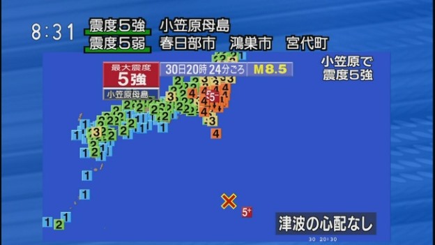 昨日の地震の前触れ 2chでは数日前から騒がれていた・・・東京湾のシャチの異常行動とM8.5の巨大地震